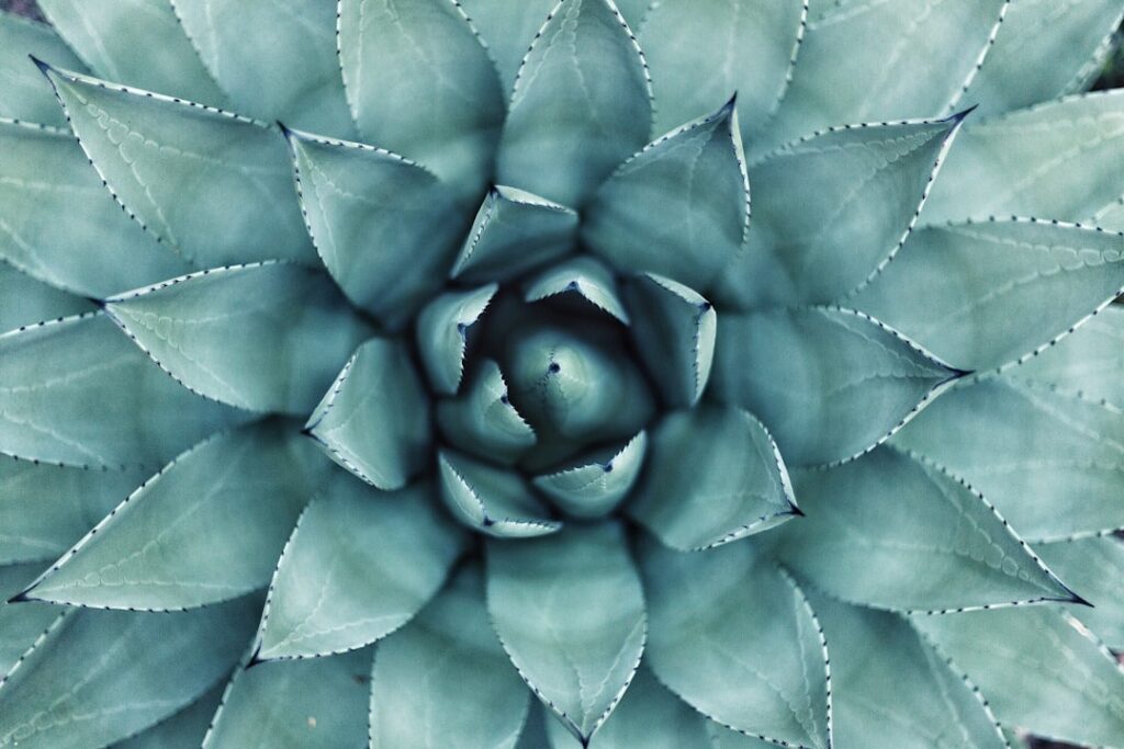 entdecken sie erstklassige wellness-angebote für entspannung, erholung und wohlbefinden. gönnen sie sich eine auszeit vom alltag und tanken sie neue energie.