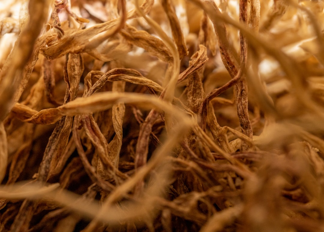 entdecken sie die vielfältigen gesundheitlichen vorteile von reishi, dem kraftvollen heilpilz, der ihr immunsystem stärkt und ihr wohlbefinden fördert.